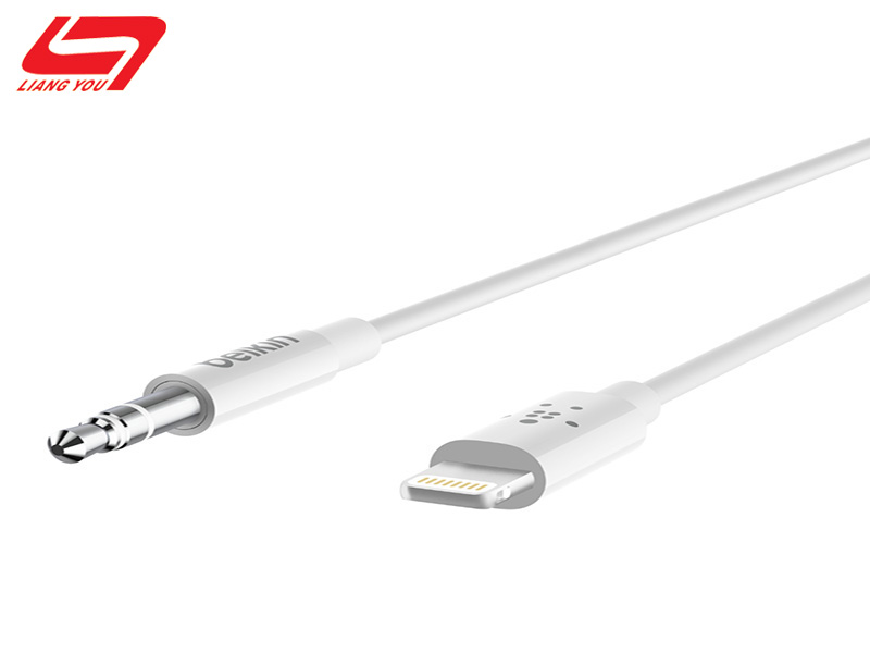 Lightning to 3.5mm Plug