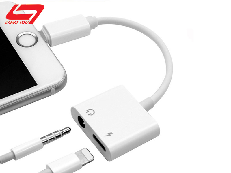 Lightning to 3.5mm and Lightni
